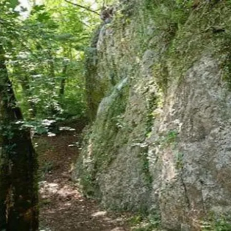 In With Patio Olloy-sur-Viroin